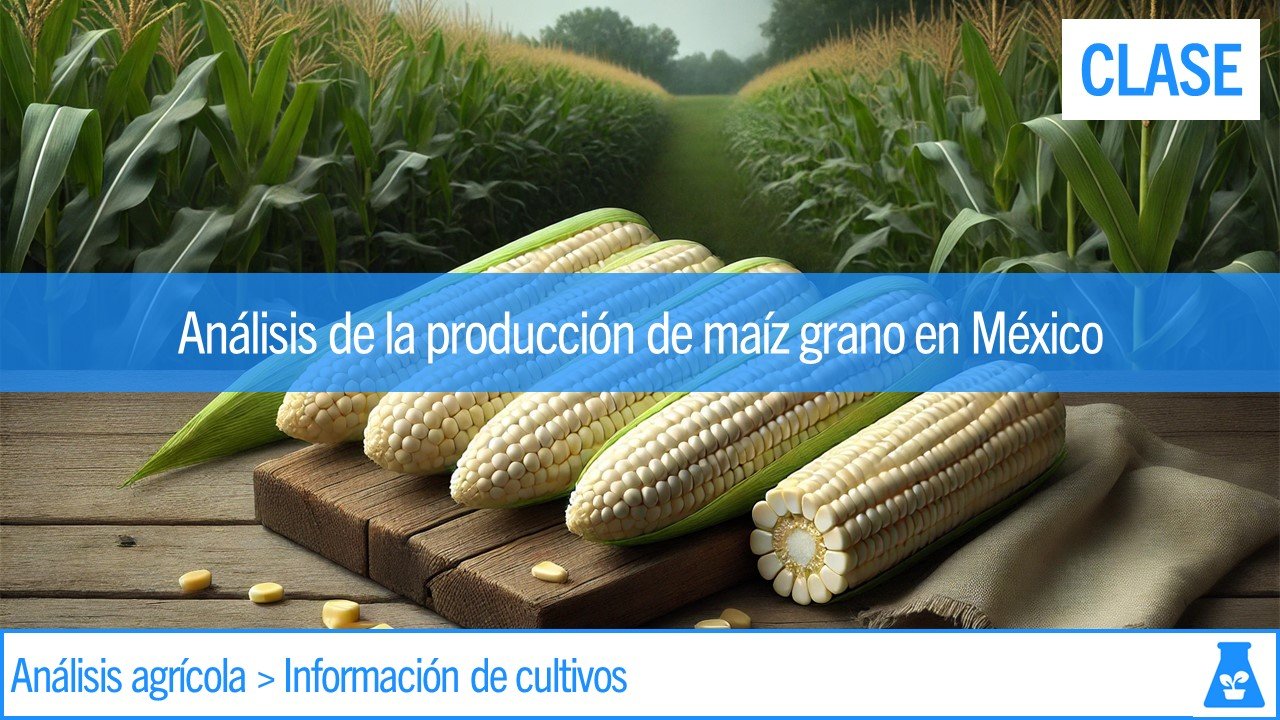 Clase: Análisis de la producción de maíz grano en México