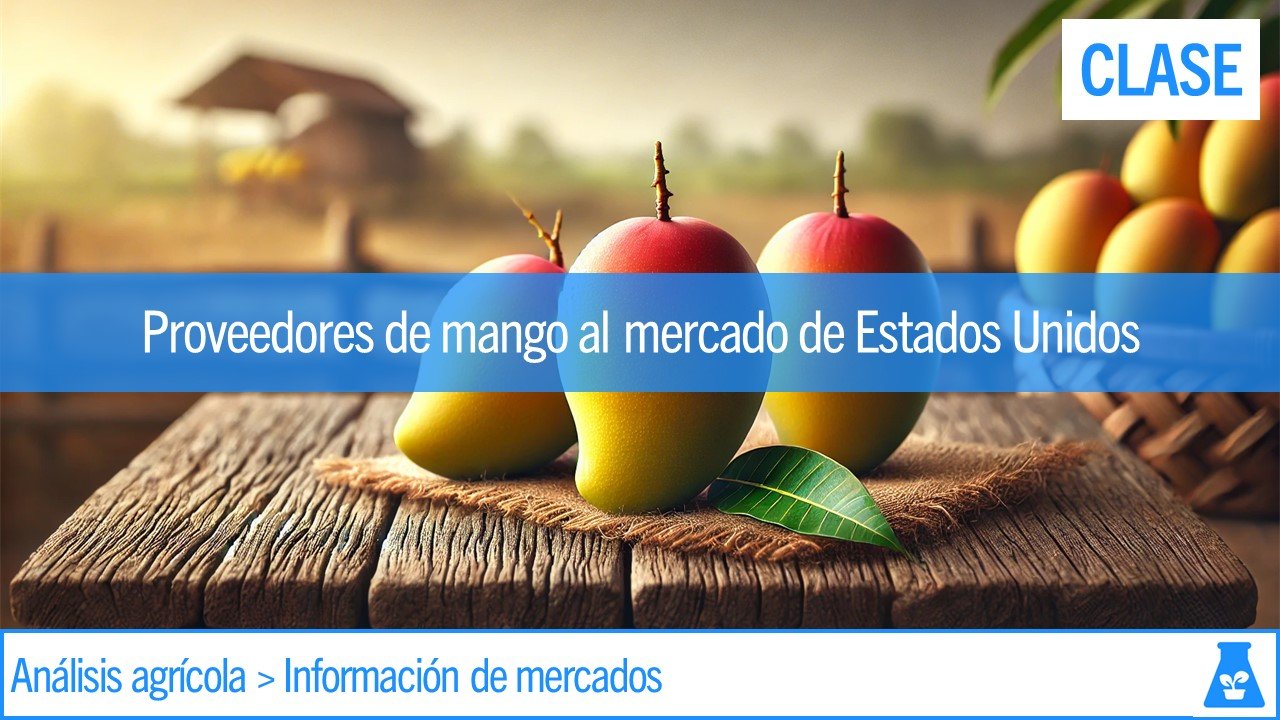 015 Proveedores De Mango Al Mercado De Estados Unidos 1